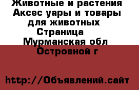 Животные и растения Аксесcуары и товары для животных - Страница 3 . Мурманская обл.,Островной г.